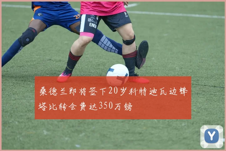 桑德兰即将签下20岁科特迪瓦边锋塔比转会费达350万镑